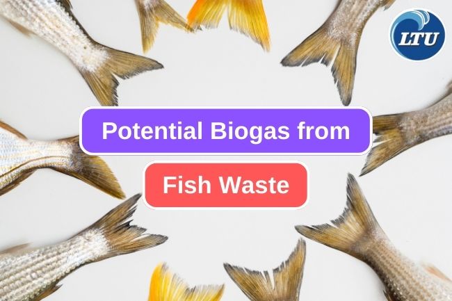 The Possibility to Making Biogas Out of Fish Waste 